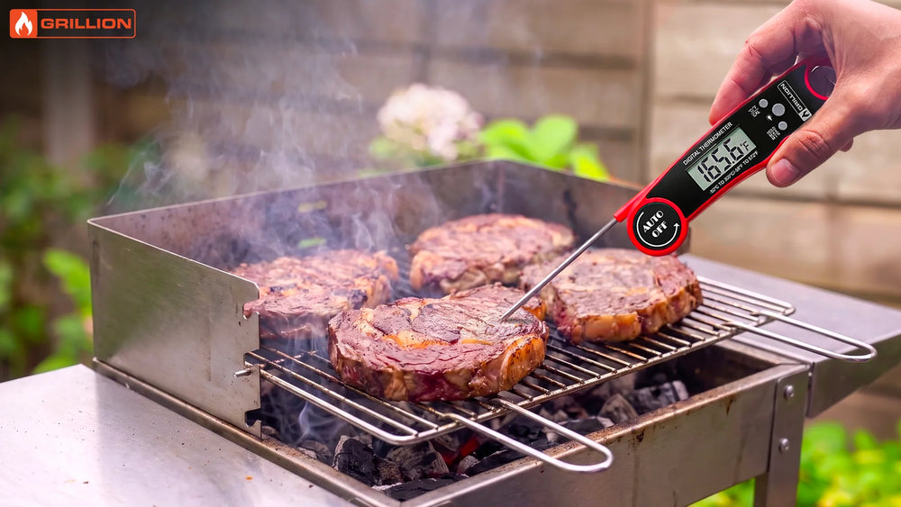 Meat Thermometers: Instant-Read vs. Leave-In